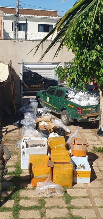Barbatanas-Agencia-PF-6 PF apreende mais 1 tonelada de barbatanas de tubarão no sul do Espírito Santo