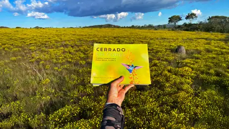 Livro-aves-beijoqueiras-Marcelo-Kuhlmann Aves beijoqueiras estão ameaçadas no Cerrado, diz pesquisador
