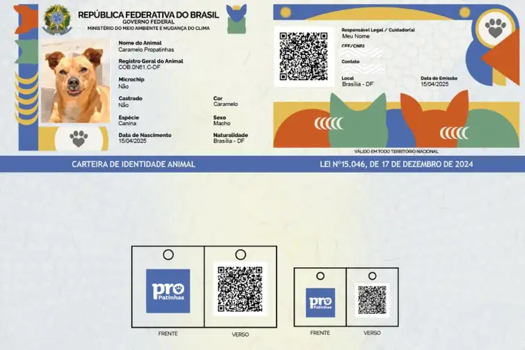 RG-Animal-SinPatinhas-ABr Saiba como funciona o SinPatinhas, novo RG Animal para cães e gatos