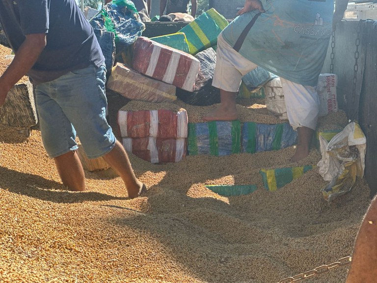 Maconha-em-Santa-Catarina-Agencia-PF-3 PF apreende 6,8 toneladas de maconha e prende uma pessoa