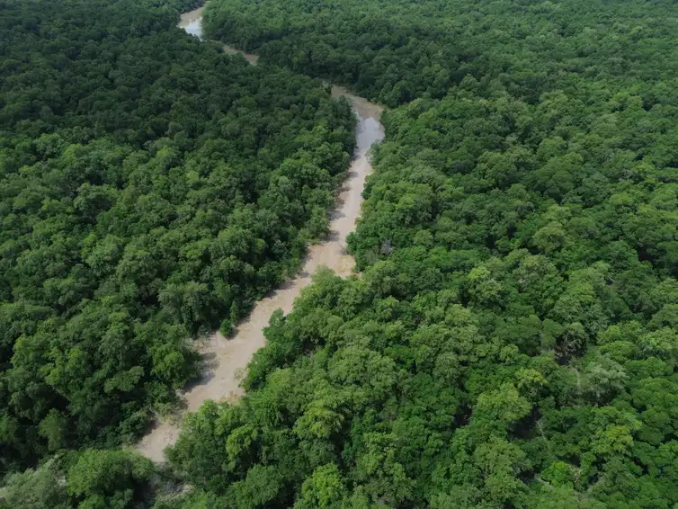 Rio-Caete-Fernando-Frazao-ABr Parceria entre pesquisadores e comunidades protege mangues na Amazônia
