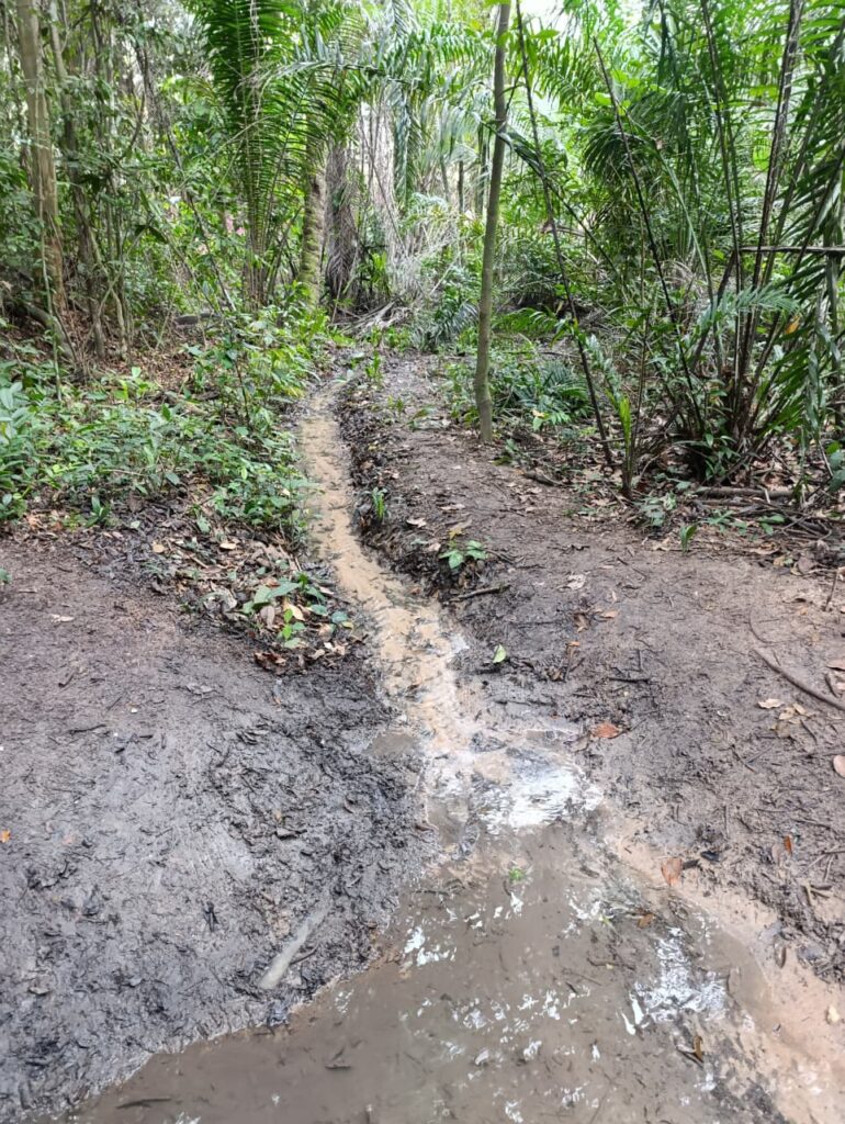 Dia-da-Limpeza-2025-3-770x1024 Escoteiros realizam mutirão de limpeza em APA com nascentes
