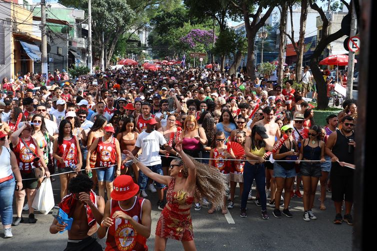 Carnaval-de-rua-Rovena-Rosa-ABr Veja dicas para curtir o carnaval com saúde, segurança e alegria