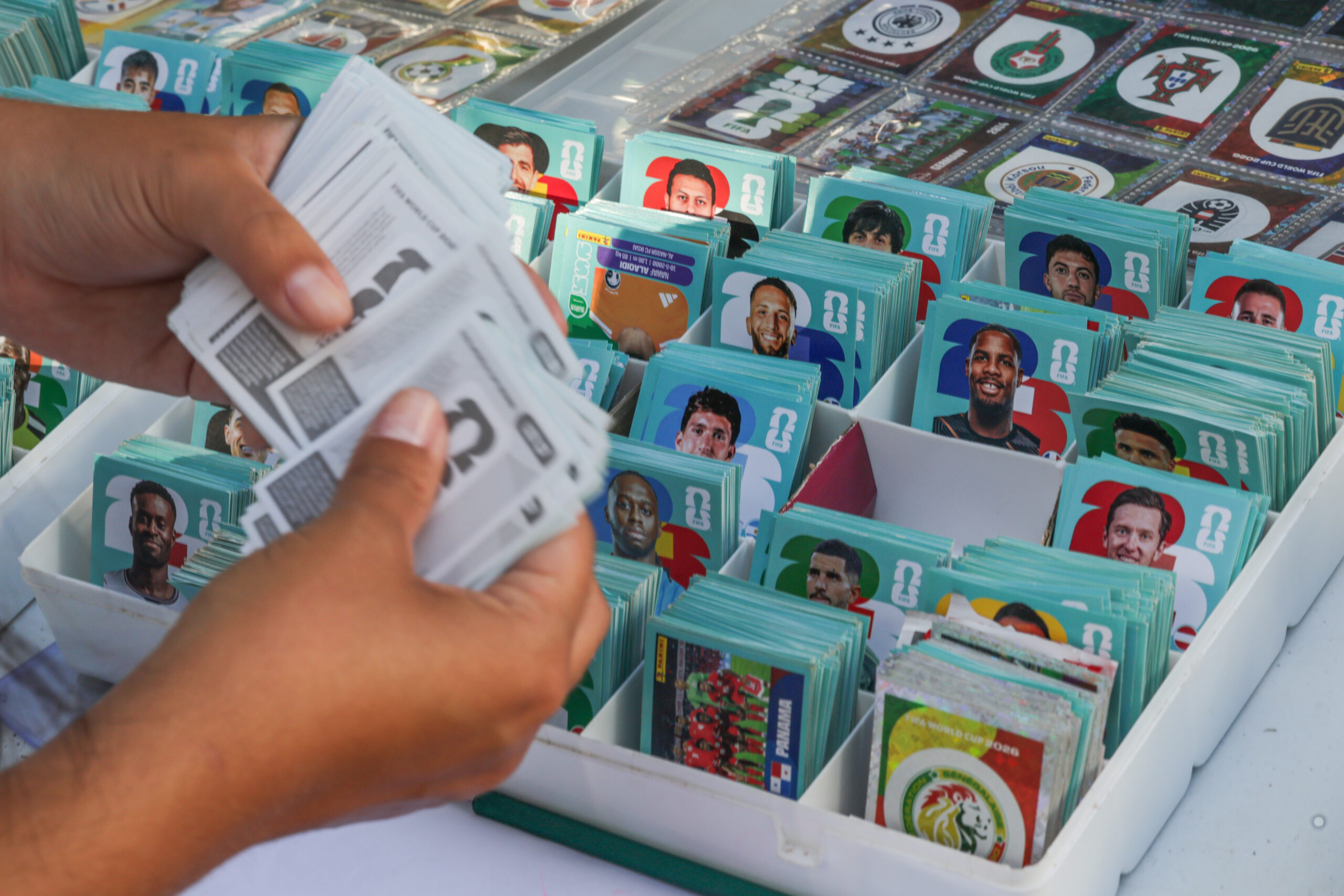 0d4a8724-scaled Troca de figurinhas pode atenuar alto custo do álbum da Copa do Mundo
