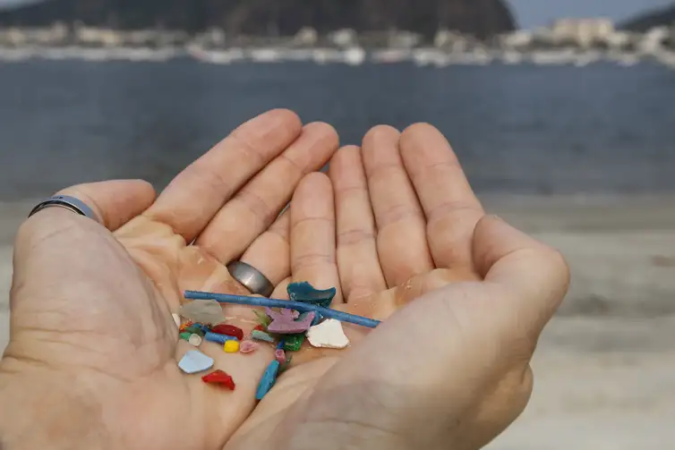 Plastico-na-praia-Fernando-Frazao-ABr Mexilhões podem acumular microplásticos e transmiti-los a humanos
