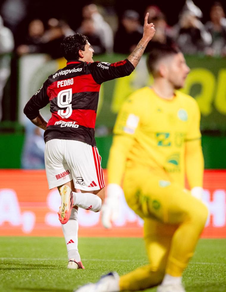 Pedro-comemora-Adriano-Fontes-CRF Flamengo goleia Chape e segue firme na briga pela liderança