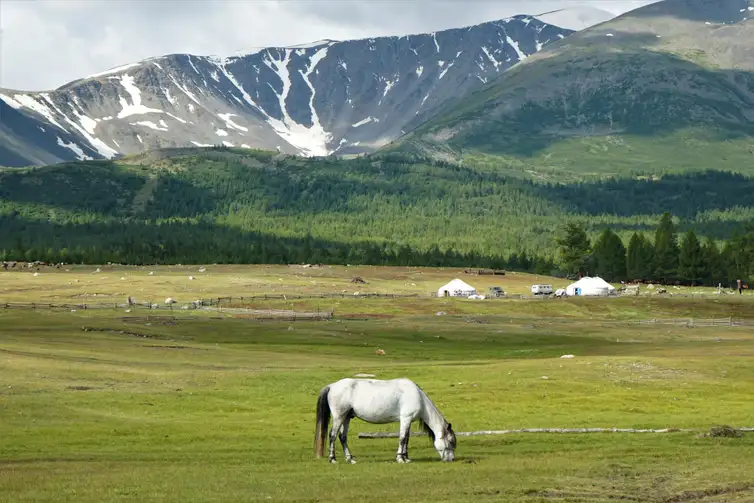 Deserto-paisagem-campestre-Mongolia-UNCCD Desertificação no Brasil ameaça segurança hídrica e alimentar