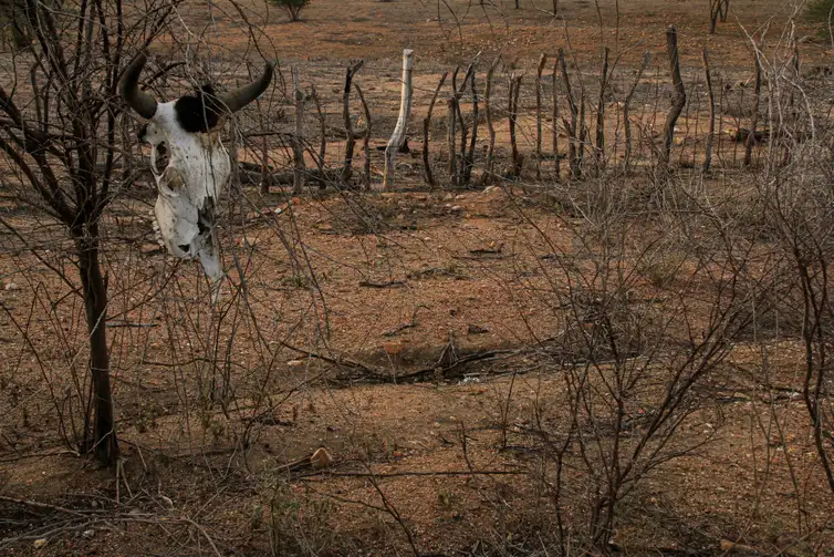 Nordeste-seco-ASA COP17 começa na Mongólia com foco em seca, terra e financiamento