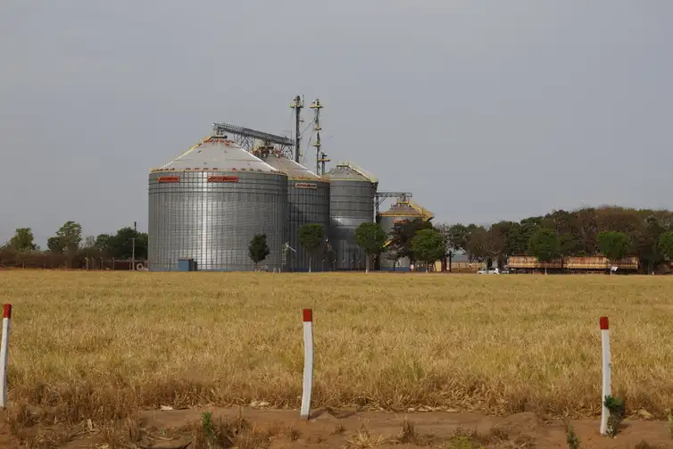 Silo-de-soja-Fernando-Frazao-ABr Sete dos dez agrotóxicos mais vendidos no Brasil são proibidos na EU