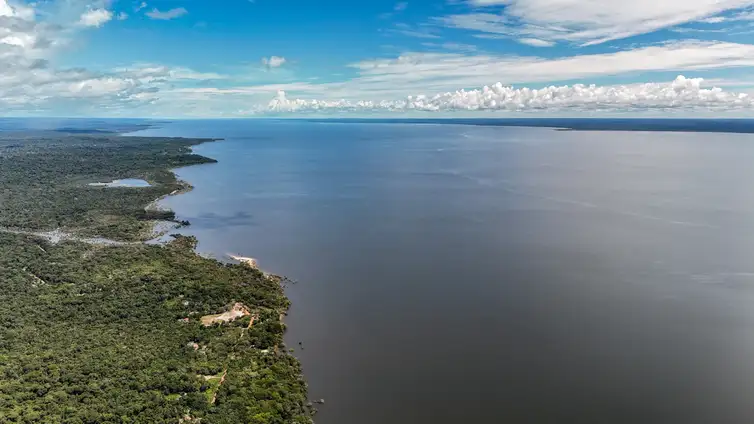 Belterra-Floresta-dos-Tapajos-Rafa-Neddermeyer-ABr Amazônia tem mais de 2,7 mil espécies de peixes, aponta estudo