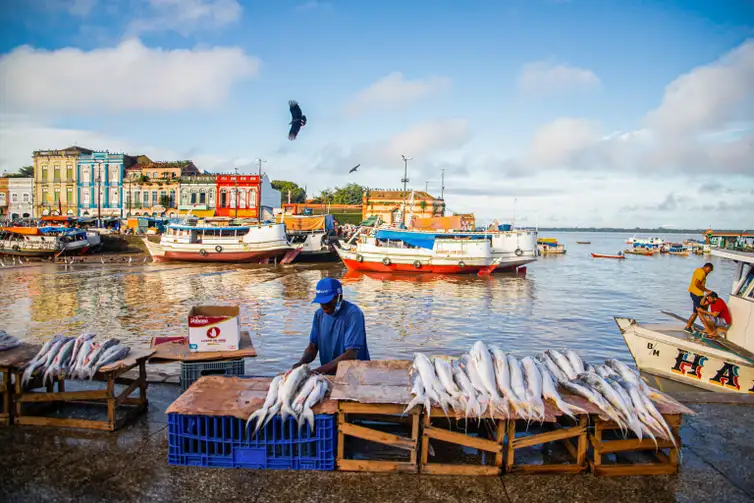 Peixes-contaminados-pesca-Nayara-Jinknss-Greenpeace Amazônia tem mais de 2,7 mil espécies de peixes, aponta estudo